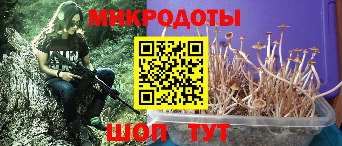 Псилоцибиновые грибы Cubensis Подольск